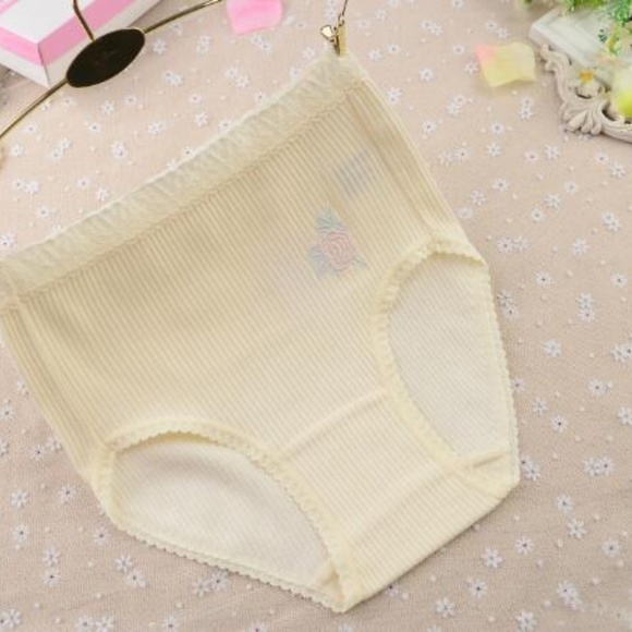Plus size Lolita Kawaii Cotton high rise Panties. In 5 pale Robin Egg colours - Picture 7 of 10